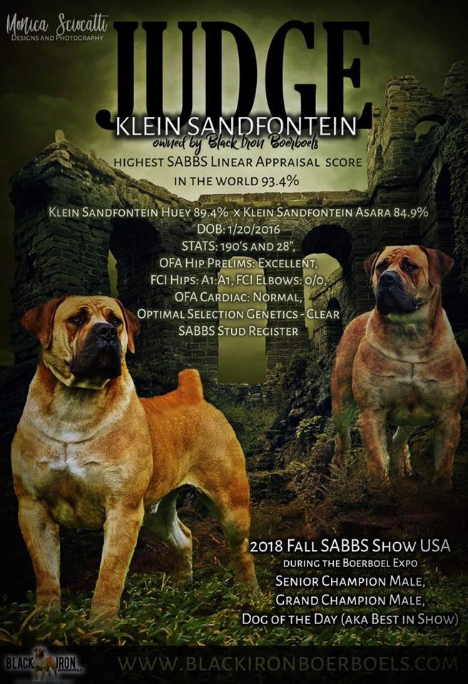 KLEIN SANDFONTEIN JUDGESABBS STUD REGISTER – 93.4% (LINEAR SYSTEM)