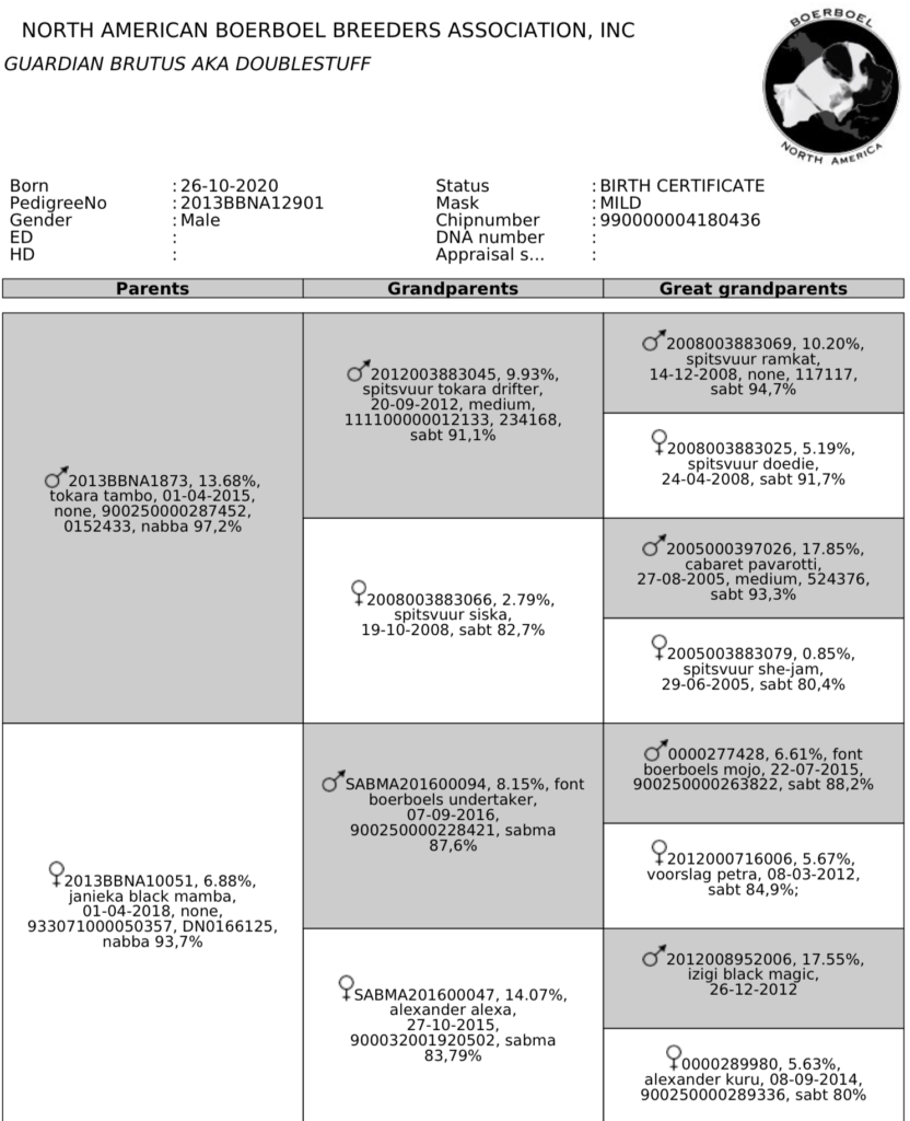 GUARDIAN BRUTUS 91.4%