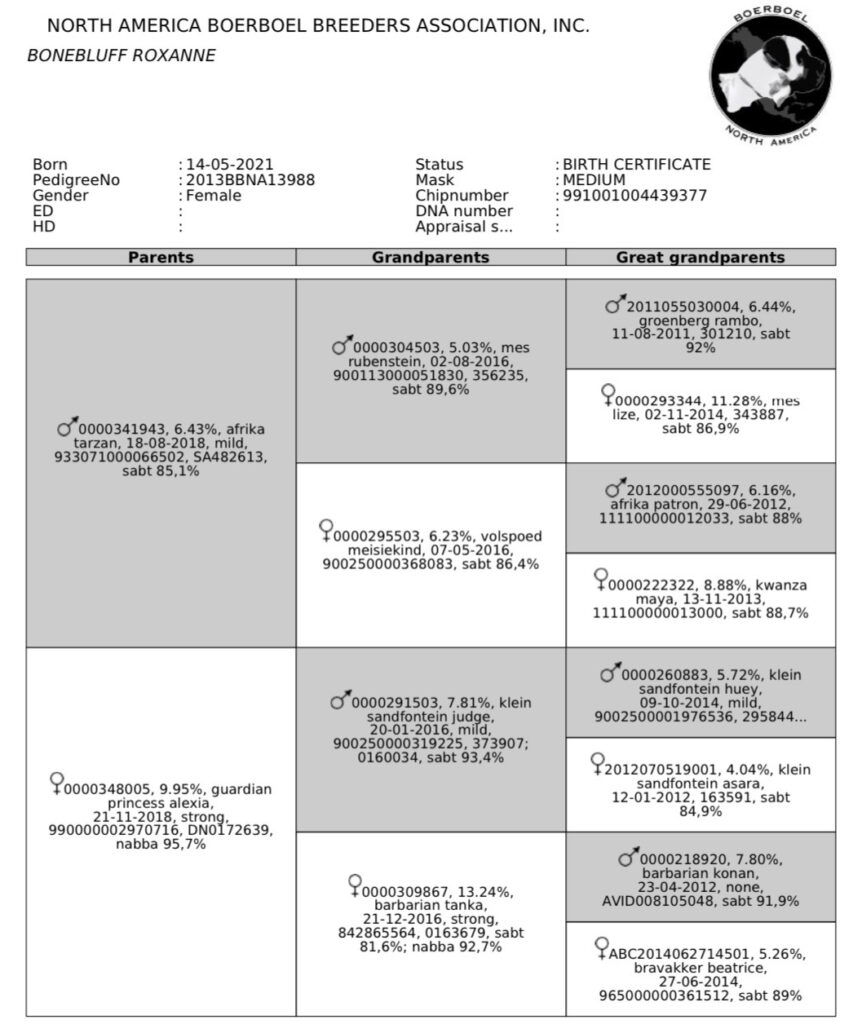 PEDIGREE BONEBLUFF ROXANNE (ROXY) 93.0%
