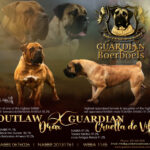 View Guardian Cruella de Vil x Outlaw Drax - NOT ACCEPTING DEPOSITS