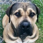 View Guardian Karma 91.4%