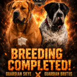 View Guardian Skye x Guardian Brutus - LIMITED BOOKINGS AVAILABLE